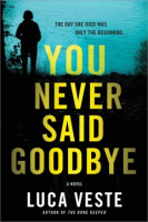 You_never_said_goodbye